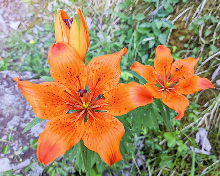 2022-06-06_08-16-54-_DSF0526-V1