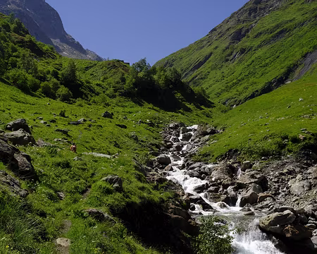 2022-06-06_10-37-26-_DSF0543-V1