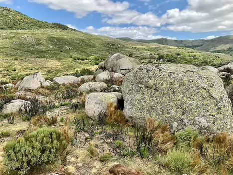 2022-06 Mont Lozère