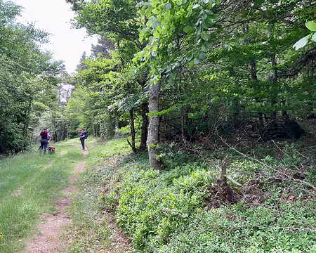 IMG_1466 GR70 vers la Mourade