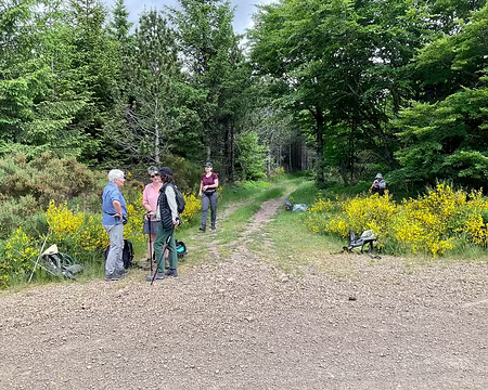 IMG_1468 plateau des Taillades