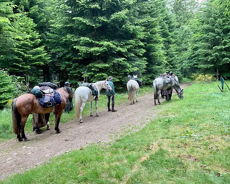 IMG_1472 sur la montagne du Goulet