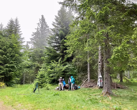 IMG_1473 montagne du goulet