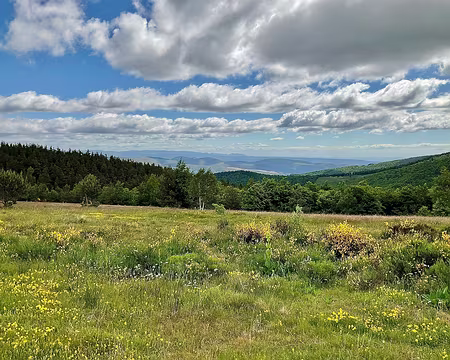IMG_1477 montée au Mt Lozère