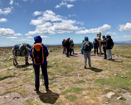 IMG_1480 sommet de Finiels (Mt Lozère)