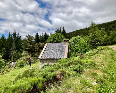IMG_1483 descente S du mt Lozère