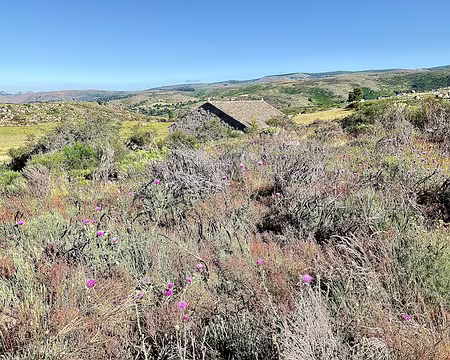 IMG_1488 versant S mt Lozère