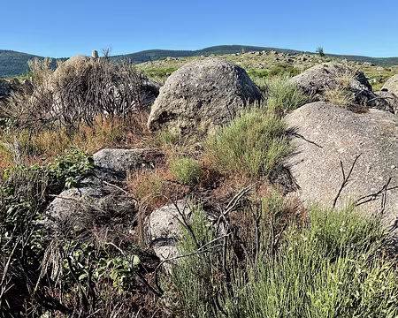 IMG_1489 boules de granite mt Lozère