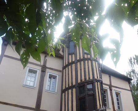 P1150302 Escalier de la Reine Berthe, belle tourelle d'escalier à colombages sculptés, datant du début du XVIè s.