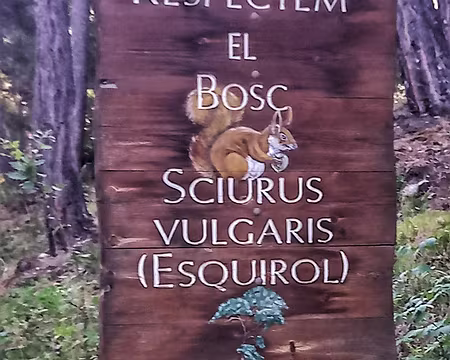 077 1er août 22. Estany d'Engolasters.