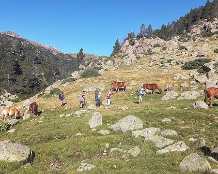 102 Les chevaux du Vallcivera.