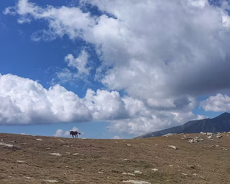 105 Magique Portella d'Engorgs.