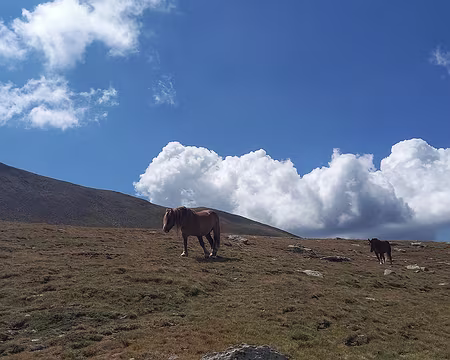 106 Portella d'Engorgs 2691 m.