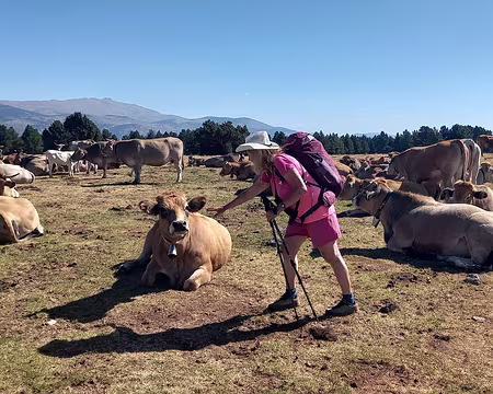 119 Gasconnes des Pyrénées