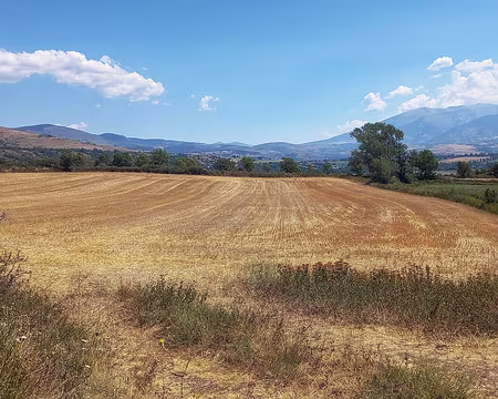 121 Cultures en Cerdagne.