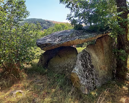 137 Dolmen d'En Caballer.