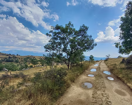 139 Après le violent orage d'hier.