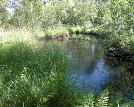 P1150328 Mare à Dagneau