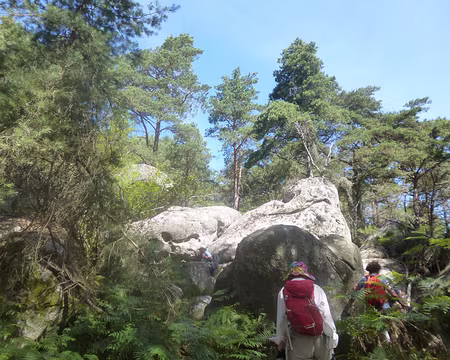 P1150333 Rocher Cuvier-Chatillon