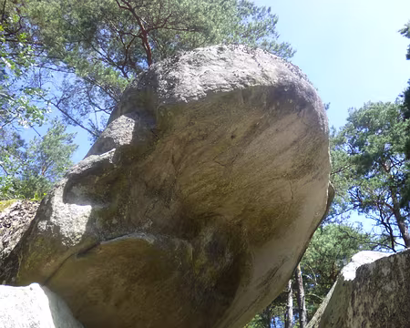 P1150334 Roche du Sergent Bobillot, sur sentier n°5