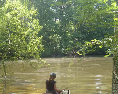 P1150343 Mare aux Evées