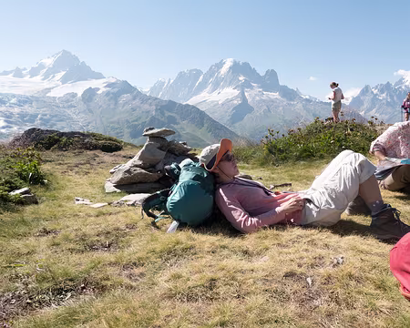 20220725-10h50m12s-XLA02162-V3 Aiguillette des Posettes