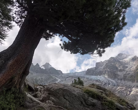 20220726-10h31m56s-XLA02191-V3