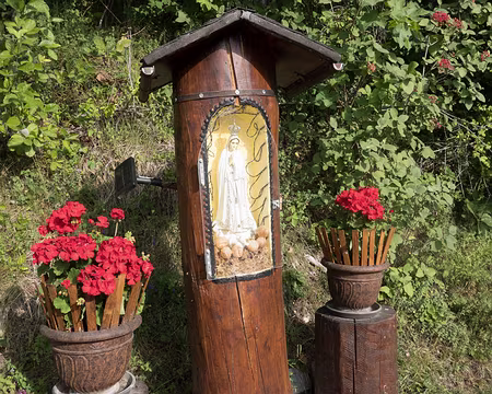 20220727-09h12m10s-XLA02214-V3