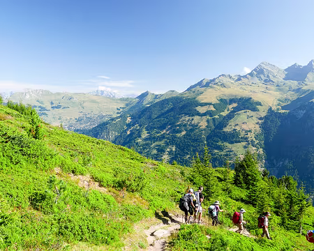 20220728-09h36m35s-P1130194-V3 Val de Bagnes en direction du Mont Gelé (3023m).
