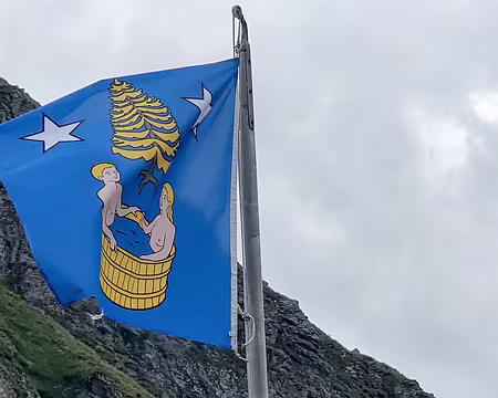 20220728-15h50m17s-20220728_155017-V3 un étrange étandard