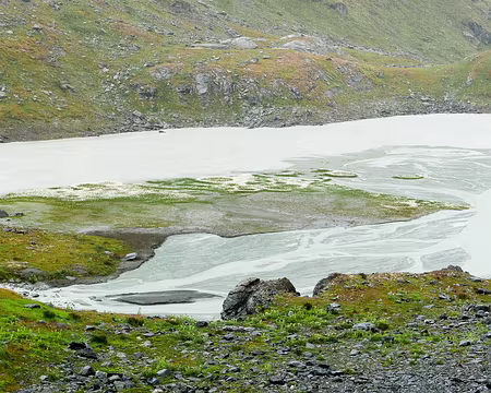 20220729-12h36m48s-P1130338-V3 Cercles de linaigrettes.