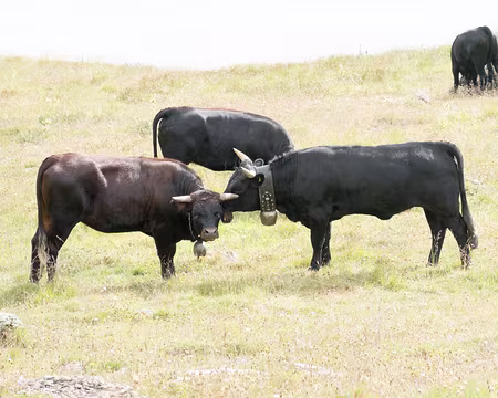 20220730-09h16m19s-XLA02282-V3