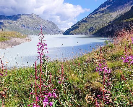 20220730-09h55m30s-20220730_095530-V3