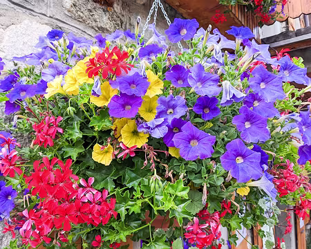 20220730-16h39m30s-PXL_20220730_143930983-V3