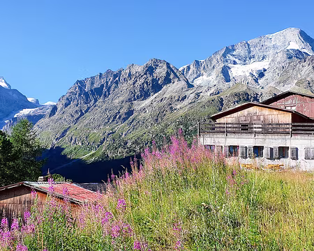 20220731-08h46m32s-20220731_084632-V3