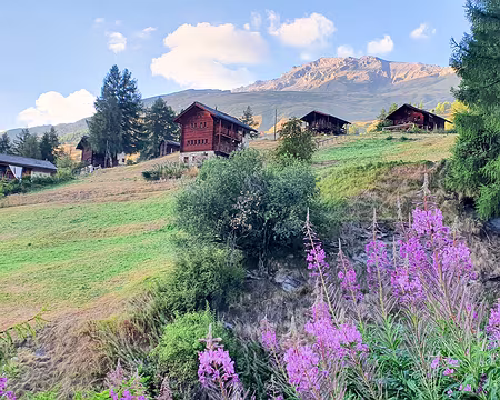 20220731-20h06m38s-20220731_200638-V3