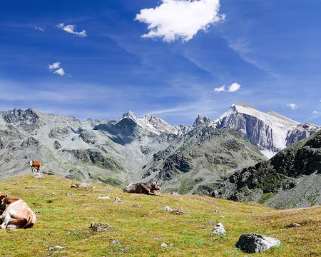 20220802-15h05m41s-P1130731-V3 Val de Tourtemagne (Turtmanntal) avec les Rothorn (3259m), Stellihorn (3406 et 3410m), Gässispitz (3411m), Üssers-Barrhorn (3610m) et Inners Barrhorn (3583m).