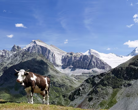 20220802-15h11m16s-p1130736_52357394992_o-V3 Vue sur Stellihorn (3406 et 3410m), Gässispitz (3411m), Üssers Barrhorn (3610m), Inners Barrhorn (3583m), Brunegghorn (3831m) et le Bishorn (4151m).