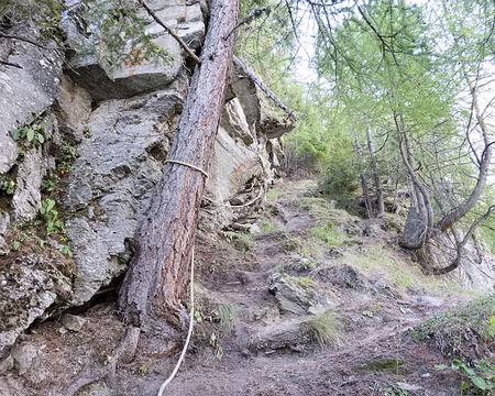 20220804-11h11m45s-XLA02438-V3