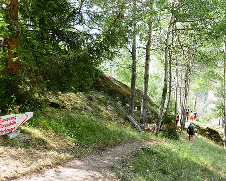 20220804-11h40m02s-P1130822-V3 Europaweg original fermé et détourné vers Herrbrigen dans une version plus forestière.