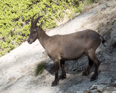 20220804-11h53m44s-XLA02444-V3