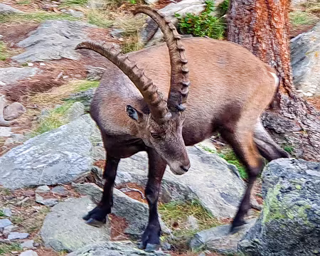 20220804-19h21m35s-20220804_192135-V3