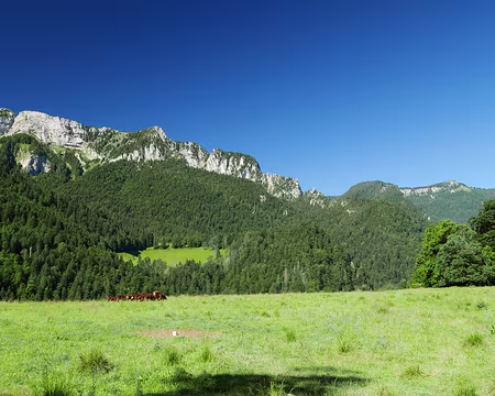 P1120592 Vue sur le Charmant Som, le Rocher de Malamille et la Petite Vache.