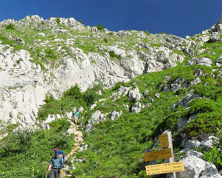 P1120737 Regroupement au Racapé dans la descente du Grand Som.