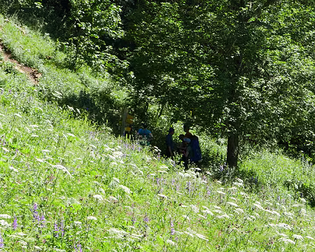 P1120766 On recherche l'ombre à proximité du Col de la Saulce.