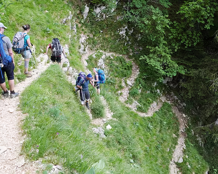 P1120771 Dans la descente entre 