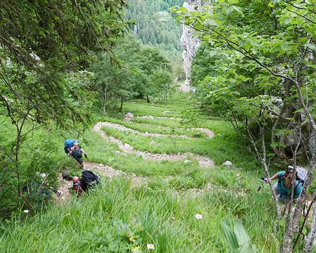 P1120773 Dans la descente entre 