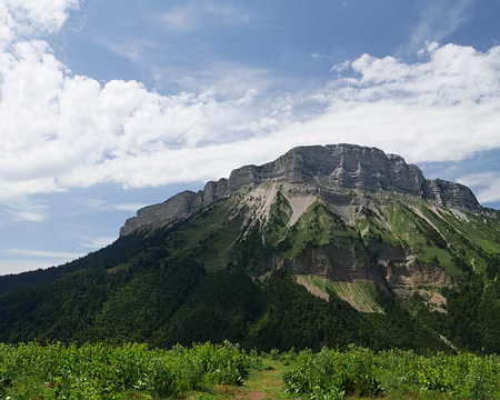 P1120805 Vue sur Chamechaude le point culminant de la Chartreuse (2082m).