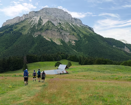 P1120808 Vue sur Chamechaude depuis Emeindras du dessus.