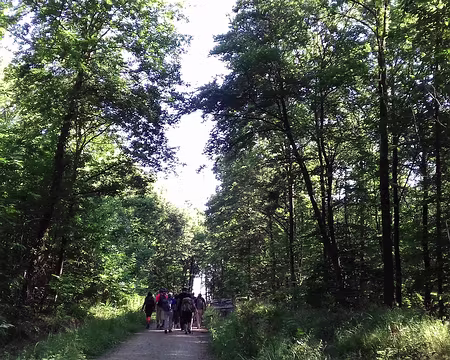 001 Départ de Saint-Cyr (Yvelines) pour une boucle de 20 km dans la forêt de Versailles via les étangs de la Haute Vallée de la Bièvre